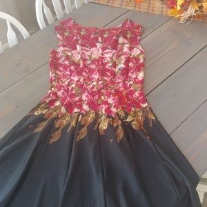 EUC Danny & Nicole dress